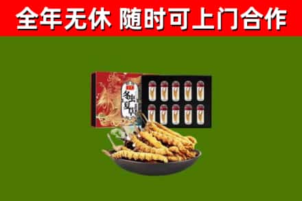 凯里回收冬虫夏草价格