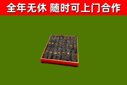 凯里回收海参